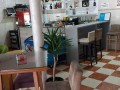 potrebne-radnice-caffe-enigma-small-2