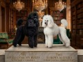 standard-pudla-small-15