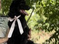standard-pudla-small-14