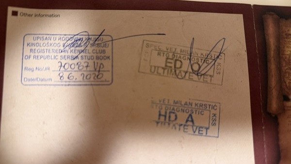 stenci-velike-kraljevske-pudle-big-4