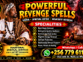 powerful-revenge-spells-to-punish-someone-who-ruined-your-life-safely-effectively-and-without-side-effects-whatsapp-256-779-611-965-small-0